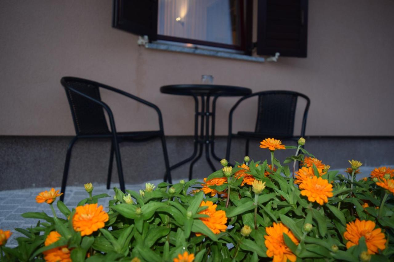 Apartman Nino Novigrad  Exterior photo